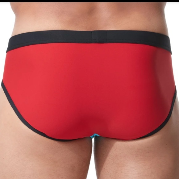 Gregg Homme Cruising Swim Brief - Picture 10 of 12